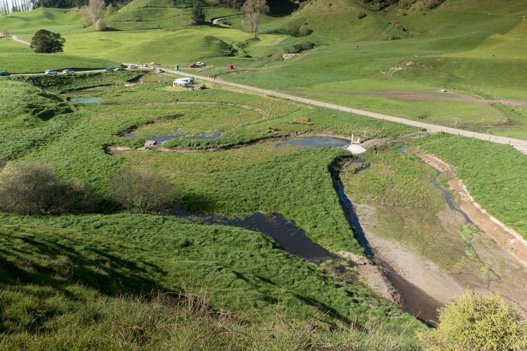 Wetlands Overview