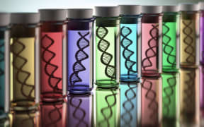 Coloured test tubes containing a DNA (deoxyribonucleic acid) double helix, computer illustration. (Photo by KTSDESIGN/SCIENCE PHOTO LIBRARY / KTS / Science Photo Library via AFP)