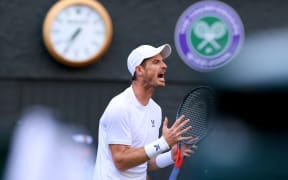 Andy Murray at Wimbledon