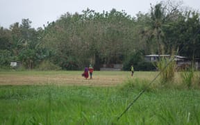 Land in Central Province, Papua New Guinea.