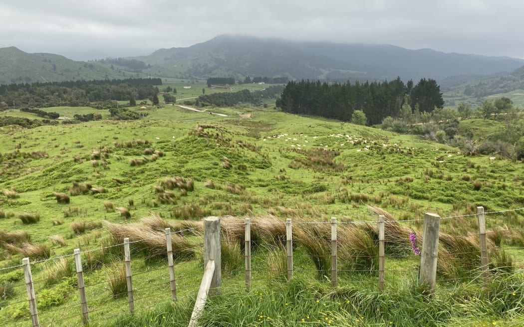 The isolated Waikura Valley is about four hours’ drive north of Gisborne.