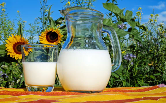 Milk jug and glass with milk