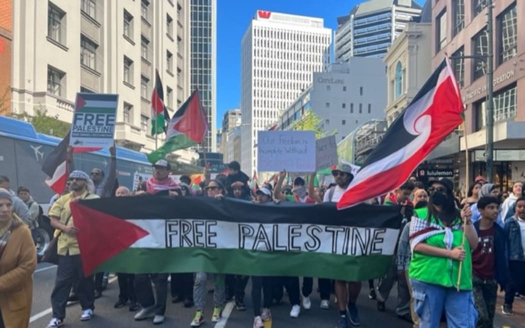 Protesters march to Parliament today in Wellington.