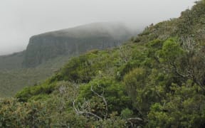 The slopes of Mount Taranaki in cloud.