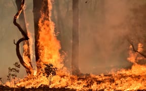 A bushfire burns on a property in Balmoral, 150 kilometres southwest of Sydney on December 19, 2019