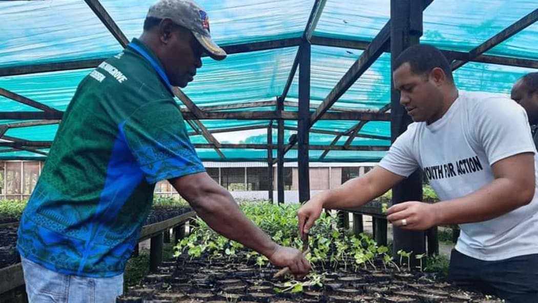 Fijians have the opportunity to establish their own nurseries and raise fruit trees.