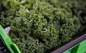 Kale sits amongst the fresh produce at T&G (Turners & Growers) in Mt Wellington, Auckland