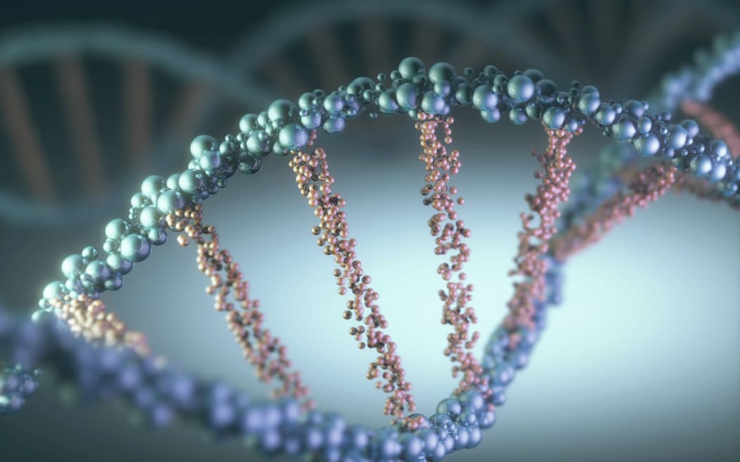 DNA