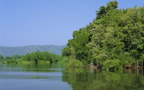 Daintree River, Cape Tribulation National Park, Queensland, Australia