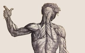 The Human Cell Atlas