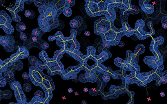 An electron density map of part of the antibiotic resistance enzyme AadA. The central shape is a molecule of the antibiotic streptomycin, which is designed to lock onto this particular binding site.