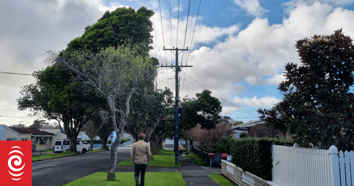 Around the motu: RNZ's Taranaki reporter, Robin Martin | RNZ