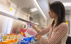 Researcher working on biofuels.