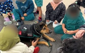 A pre-school in south Auckland is teaching its tamariki how to be safe around dogs.