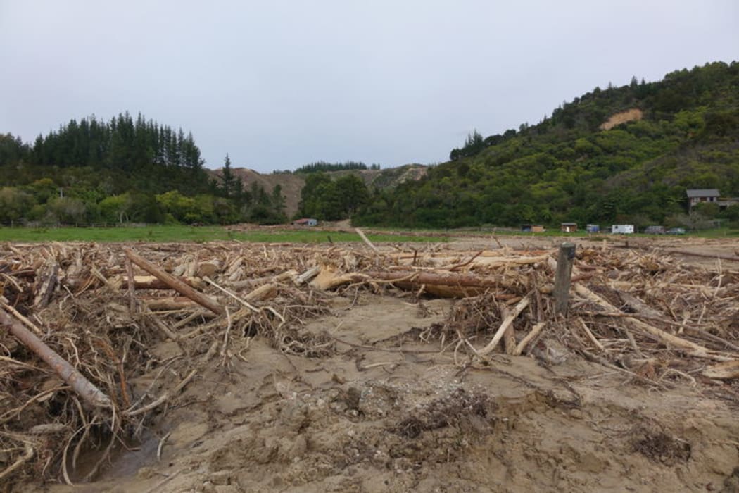 Damage caused by ex-cyclone Gita