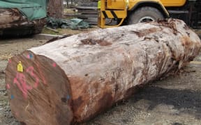 A kauri log for sale on Chinese-based website Ali Baba.