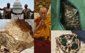 A statue showing Donald Trump and Jeffrey Epstein; a roll of bread; the Dalai Lama; a lost and confused kitten; a Fabergé egg that went on a journey.