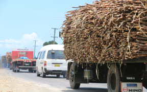 Trucks transport sugarcane for crushing in Lautoka in Fiji's west.