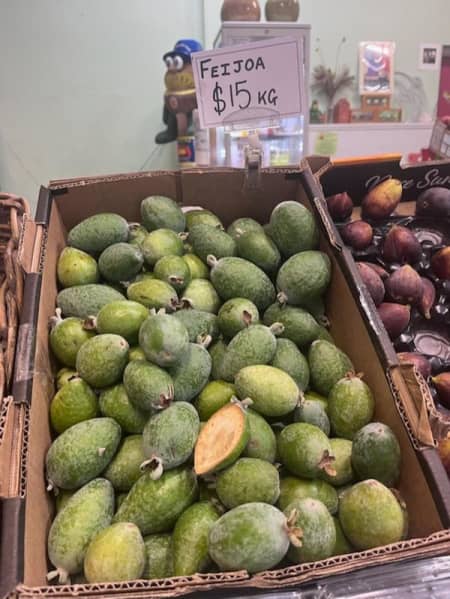 Fiejoas for sale in Melbourne.