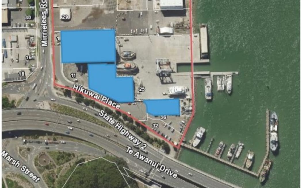 The Tauranga marine precinct is outlined in red; the blue shaded areas were privately owned before the sale.