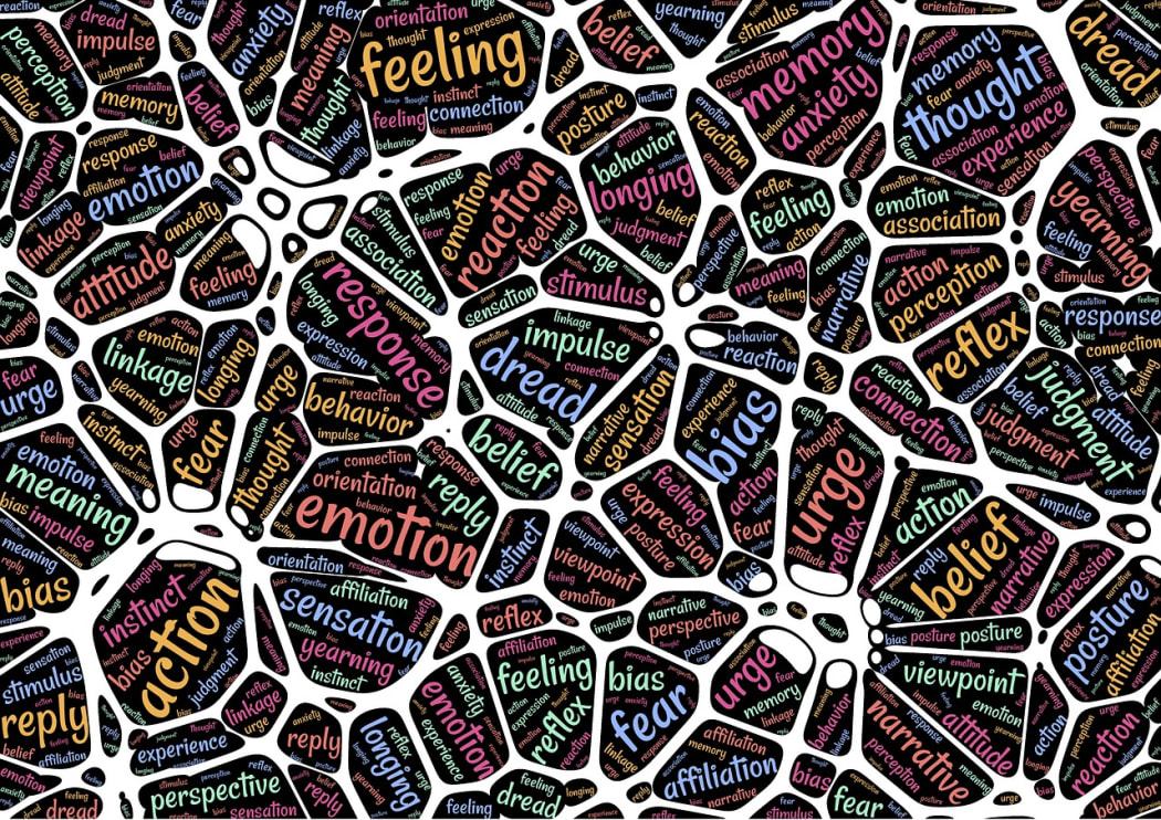 What if our ability to recognize emotions ceased to exist.