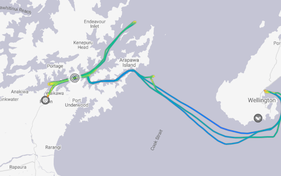 MarineTraffic's map showing the Interislander's Kaitaki waiting in Queen Charlotte Sound.