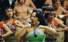 Waitangi on the road?
