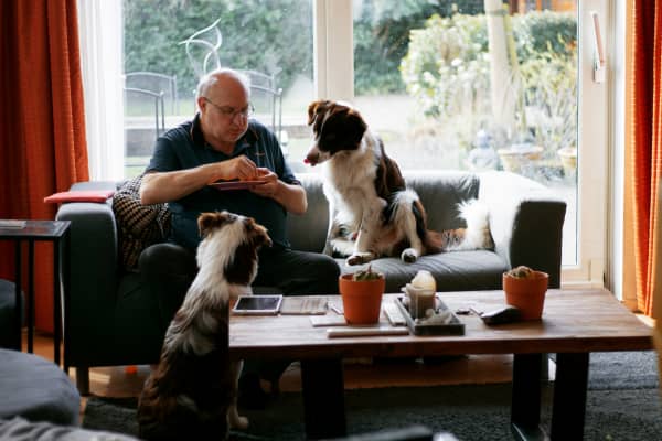 A man and his two devoted dogs awaiting some treats
