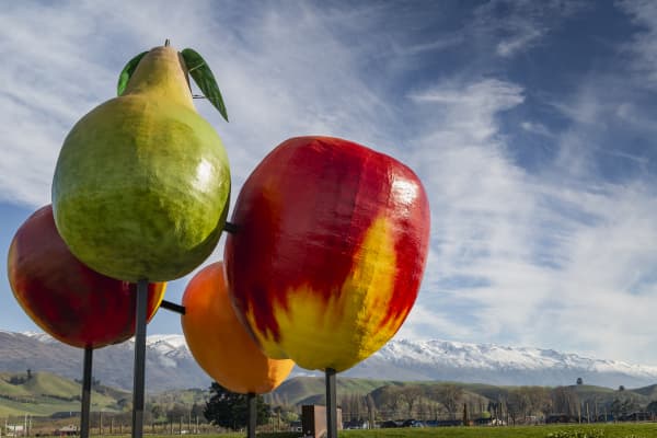 Sculptures of pear, apple, apricot and nectarine fruit installed on poles in Cromwell, Central Otago, with mountains in the background.