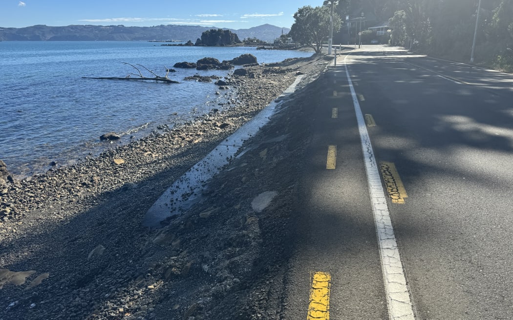 Māhina Bay, between the suburbs of Point Howard and Eastbourne, in Wellington.