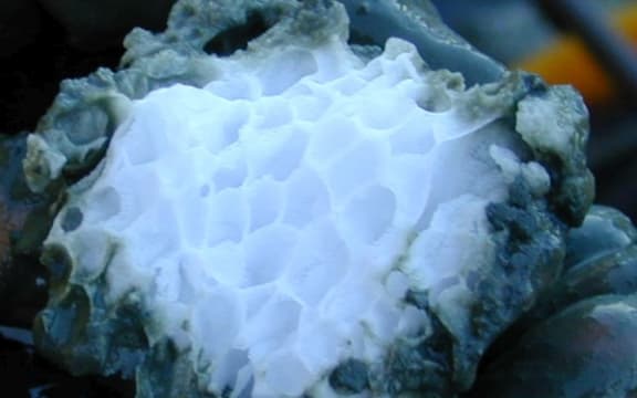 Structure of a gas hydrate (methane clathrate) block embedded in the sediment of hydrate ridge, off Oregon, USA.