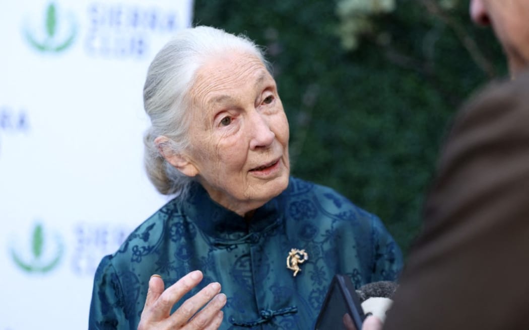 Jane Goodall attends Sierra Club's 2025 Trail Blazers Ball on 2 April 2025 in Los Angeles, California.