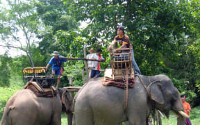 Elephant ride