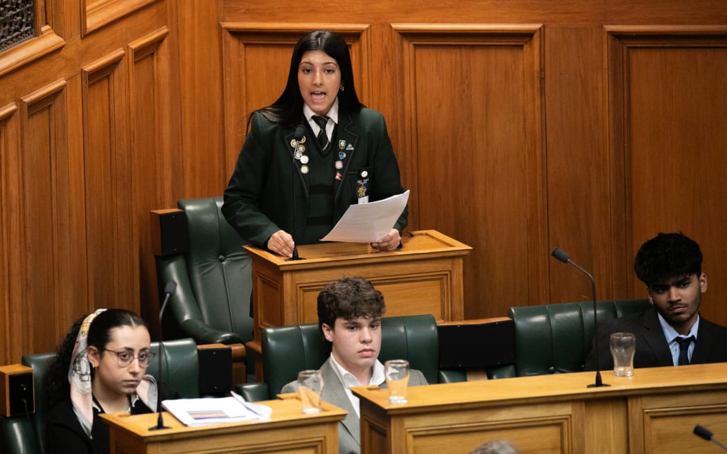Participants during the 2025 Youth Parliament