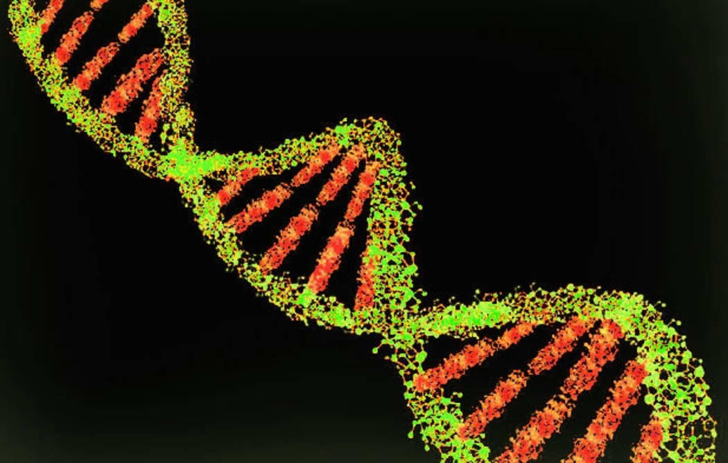 DNA double helix through an electron microscope