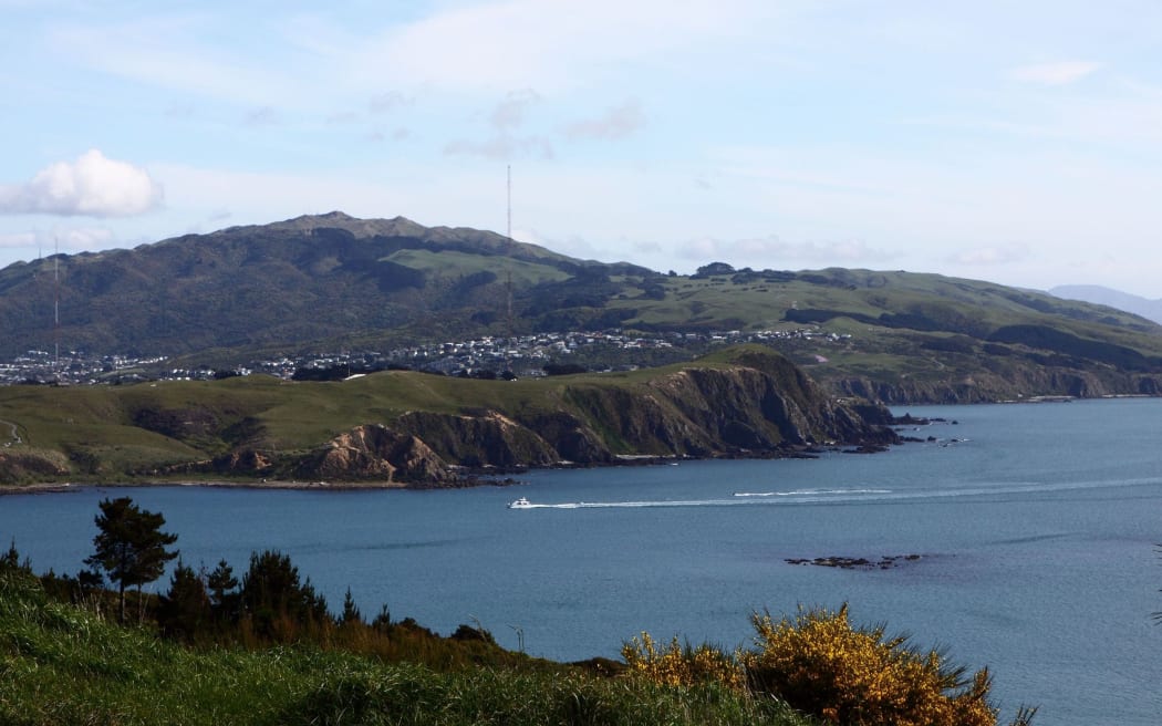 Porirua Habour