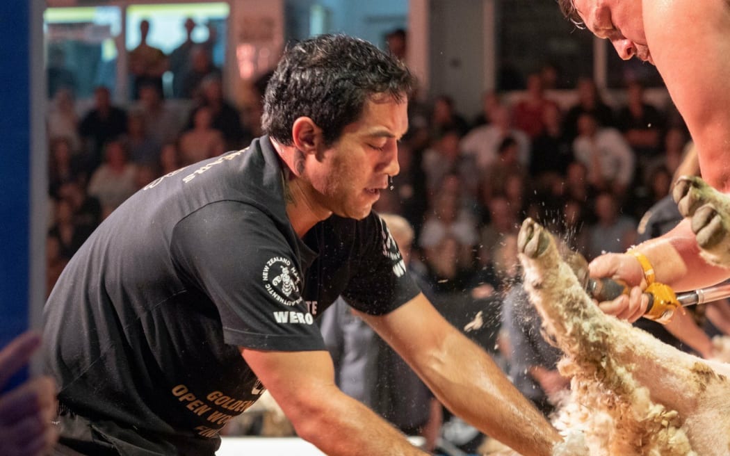 Golden Shears final showdown, 2023. Joel Henare open woolhandling final