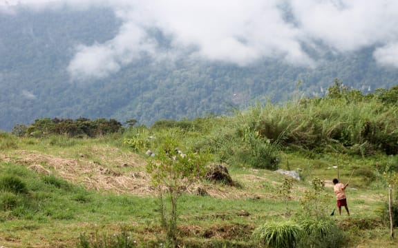 This picture taken on November 16, 2021 shows a woman rakes grass in Golgubip, Western Province, Papua New Guinea. Most residents of Papua New Guinea’s Star Mountains are still dependent on subsistence agriculture for a living and are increasingly frustrated with the slow pace of development. (Photo by Chris McCALL / AFP) / TO GO WITH: PNG-NATURE-CONSERVATION-ANIMAL, FEATURE BY CHRIS MCCALL - TO GO WITH: PNG-nature-conservation-animal, FEATURE by Chris MCCALL