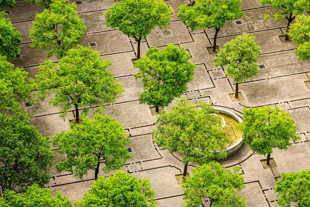 Bringing nature back to urban areas.