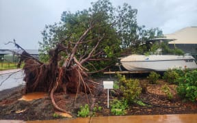 This handout photo taken and posted by Bianca Katai on Facebook on February 14, 2025 shows an uprooted tree as Cyclone Zelia made landfall in a suburb of Port Headland, Western Australia. Category five Cyclone Zelia churned into Australia's minerals-rich west coast on February 14, with gusts of 290 kilometres per hour sparking emergency warnings and port closures. (Photo by Handout / FACEBOOK account of Bianca Katai / AFP) / NO USE AFTER FEBRUARY 24, 2025 05:12:49 GMT - NO USE AFTER FEBRUARY 24, 2025 05:12:49 GMT - RESTRICTED TO EDITORIAL USE - MANDATORY CREDIT "AFP PHOTO /  FACEBOOK ACCOUNT OF BIANCA KATAI" - NO MARKETING NO ADVERTISING CAMPAIGNS - DISTRIBUTED AS A SERVICE TO CLIENTS - NO ARCHIVE /