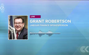 'We have different plans for the economy': RNZ Checkpoint