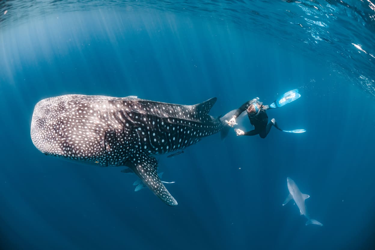 The best photos of scientists at work | RNZ