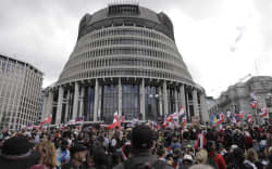 The national hīkoi converges at Parliament Grounds on 19 November 2024.
