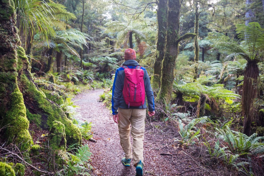 Hiking and tramping in New Zealand. Travel and adventure concept
