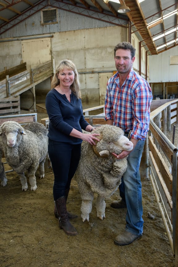 Devold chief executive Cathrine Stange and Armidale stud’s Simon Paterson inspect one the farm’s prime animals.