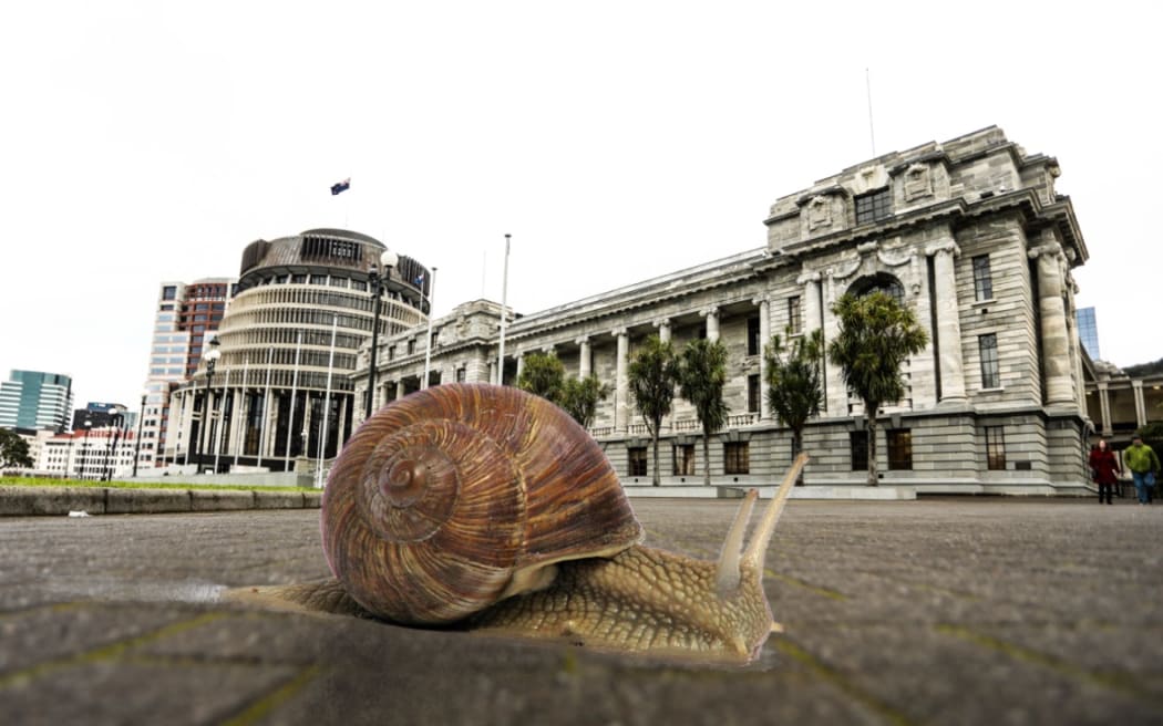 A snail slides across the forecourt