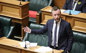 Labour Party Whip Kieran McAnulty in the House