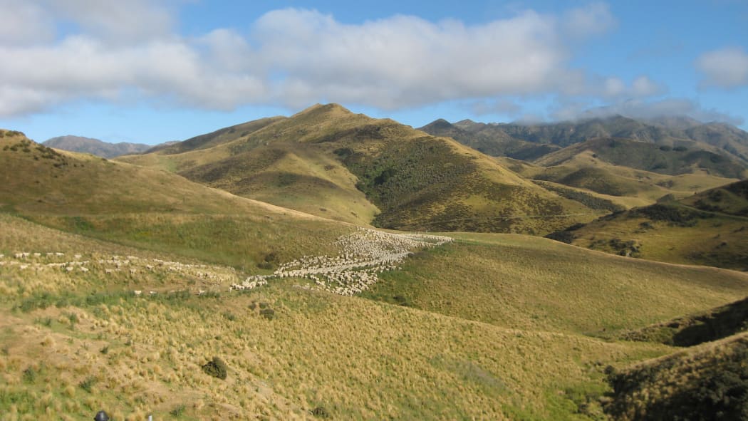 Mount Linton Station, Southland