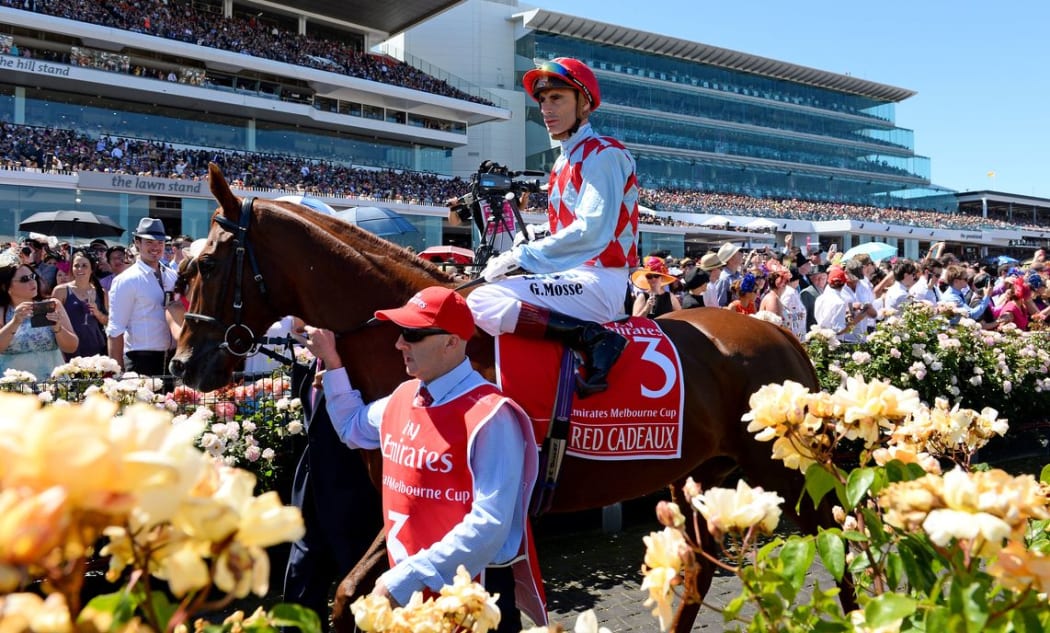 Red Cadeaux with jockey Gerald Mossie after finishing 2nd at the 2013 Melbourne Cup at Flemington Race Course on Tuesday 5th November 2013
© Sport the library / Jeff Crow