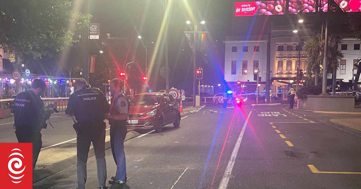 Witness recalls 'shocking' moment he stopped car that ran over woman in ...